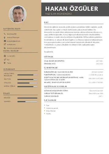 Yazılım Mühendisi Cv Örnekleri cv indir